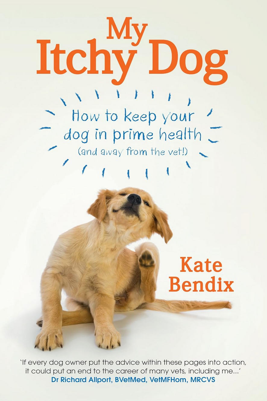 My Itchy Dog book by Kate Bendix