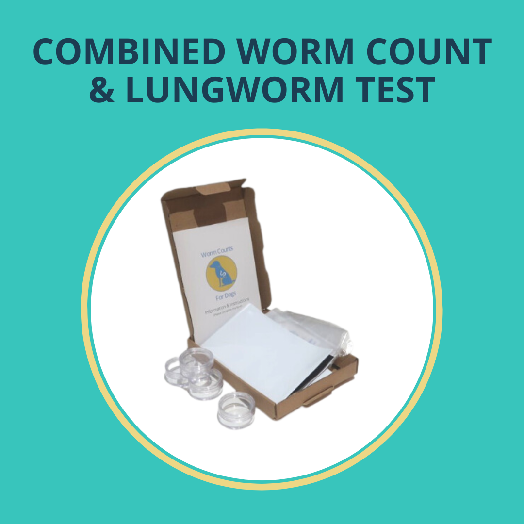 Worms Counts for Dogs Worm & Lungworm Test box contents