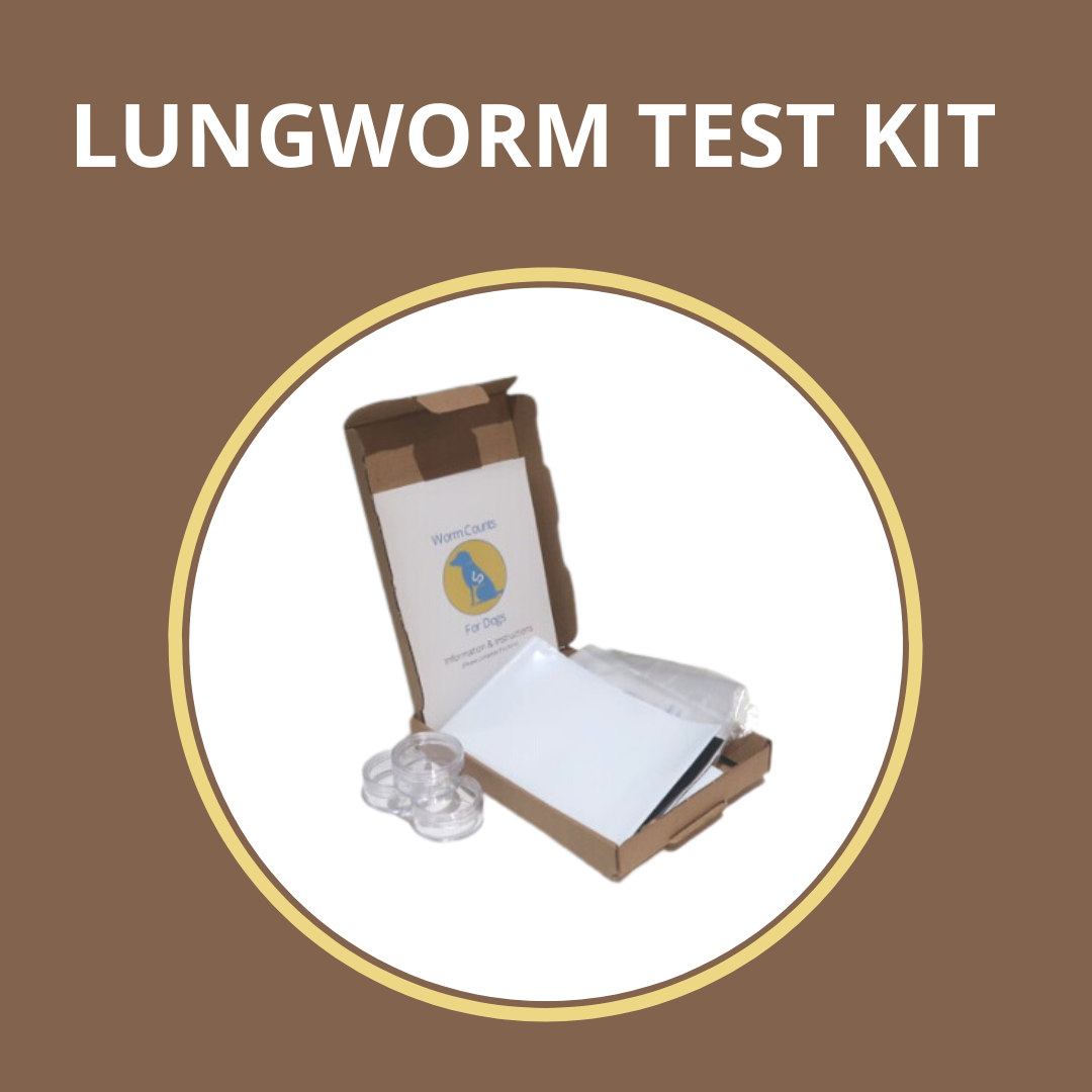 Lungworm screen