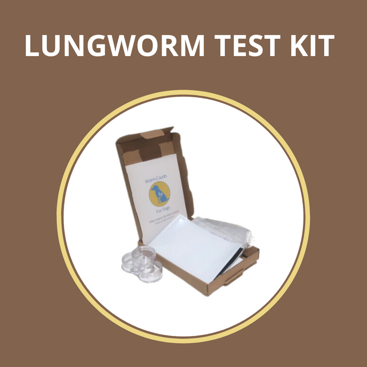 Worm Count Test Kits for Your Dog Worm Counts for Dogs
