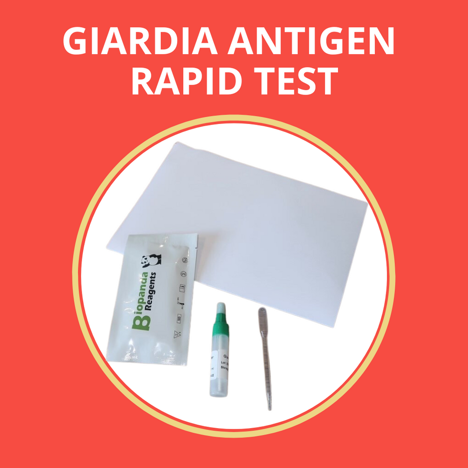 Worm Count Test Kits for Your Dog Worm Counts for Dogs