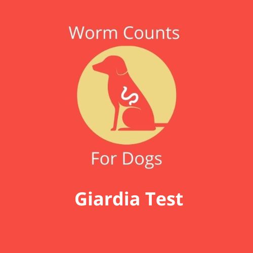 Worms Counts for Dogs Giardia Test