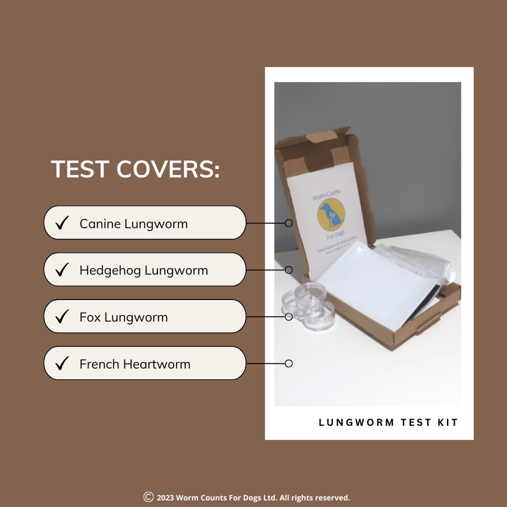 Lungworm Test Kit for Dogs – Worm Counts for Dogs