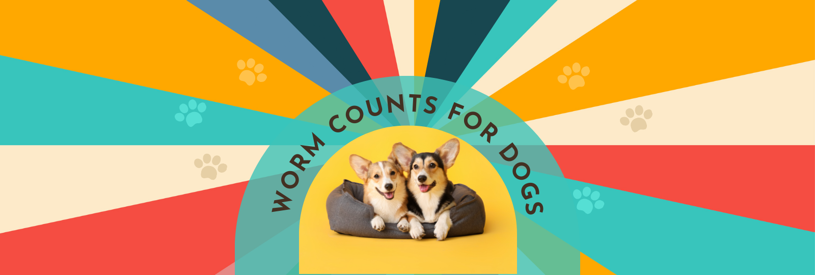 Worm Counts for Dogs banner image